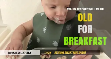 Healthy Breakfast Ideas for Your 11-Month-Old Baby's Morning Meal