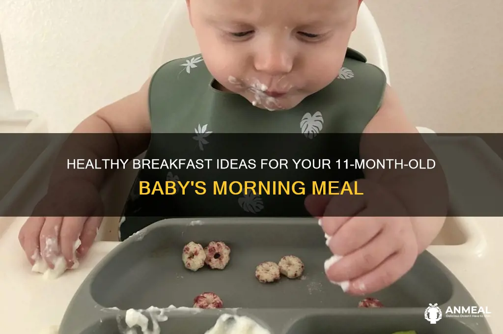 what do you feed your 11 month old for breakfast