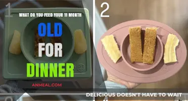 Nutritious and Easy Dinner Ideas for Your 11-Month-Old Baby