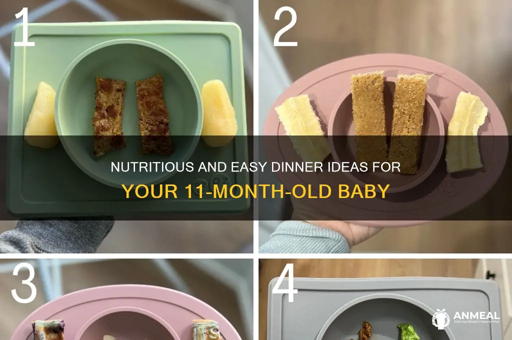 what do you feed your 11 month old for dinner