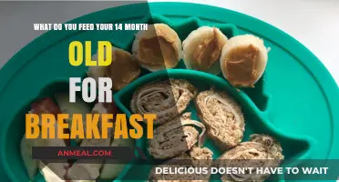 Nutritious Breakfast Ideas for Your 14-Month-Old Toddler