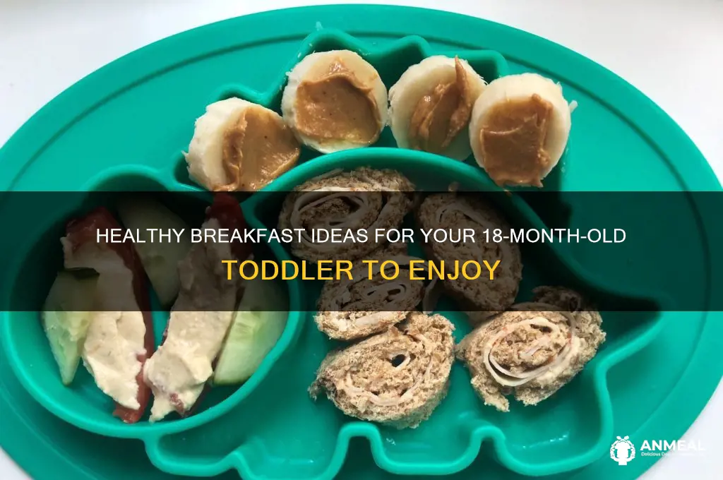 what do you feed your 18 month old for breakfast