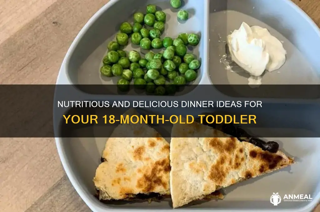 what do you feed your 18 month old for dinner