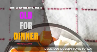 Nutritious and Delicious: 7-Month-Old Dinner Ideas for Happy Babies