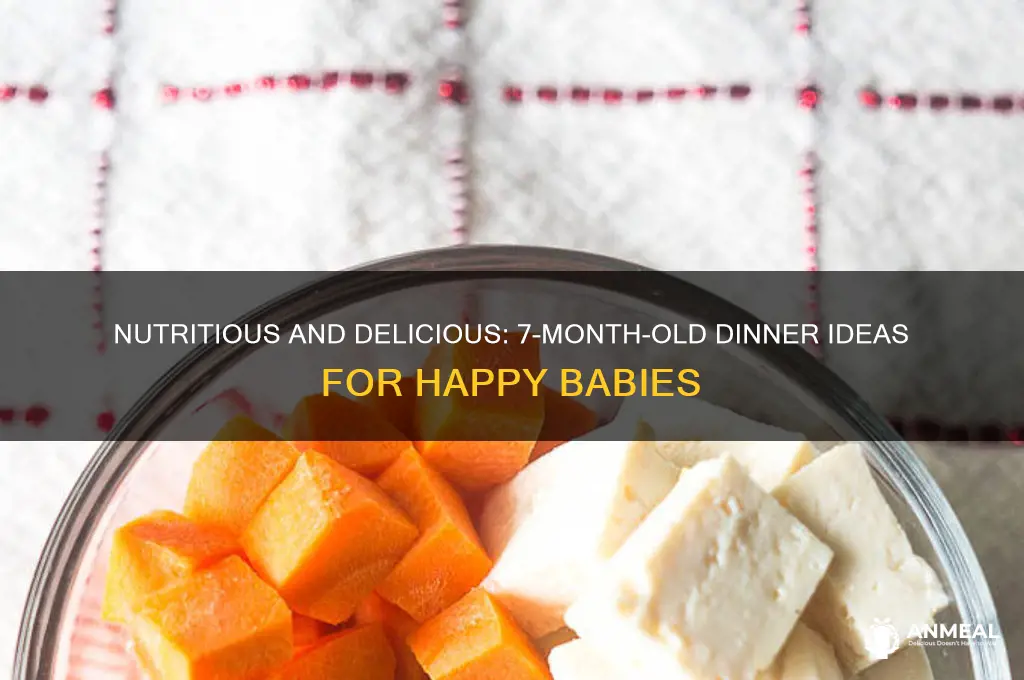 what do you feed your 7 month old for dinner