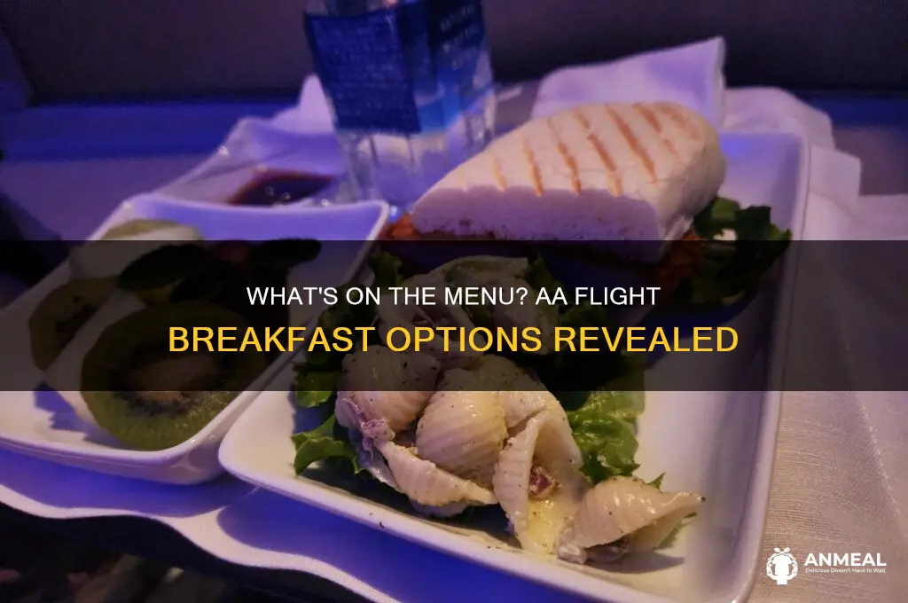 what do you get for breakfast on an aa flight