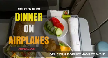 Exploring In-Flight Dining: What's on Your Airplane Dinner Menu?