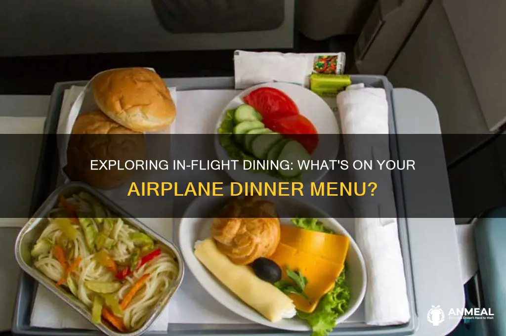 what do you get for dinner on airplanes