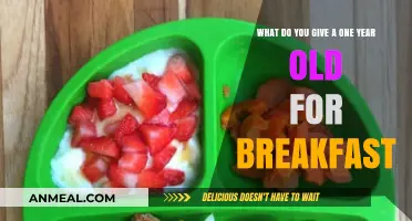 Nutritious and Delicious Breakfast Ideas for Your One-Year-Old