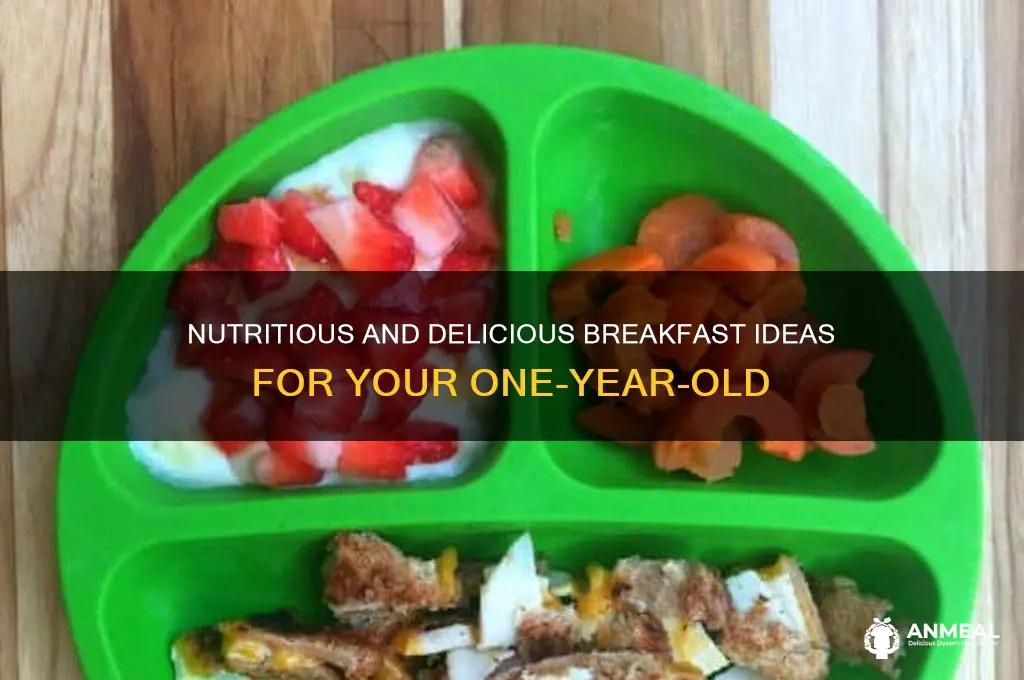 what do you give a one year old for breakfast
