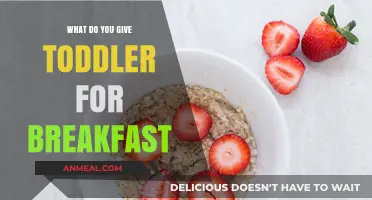 Healthy Toddler Breakfast Ideas: Quick, Nutritious, and Kid-Approved Meals
