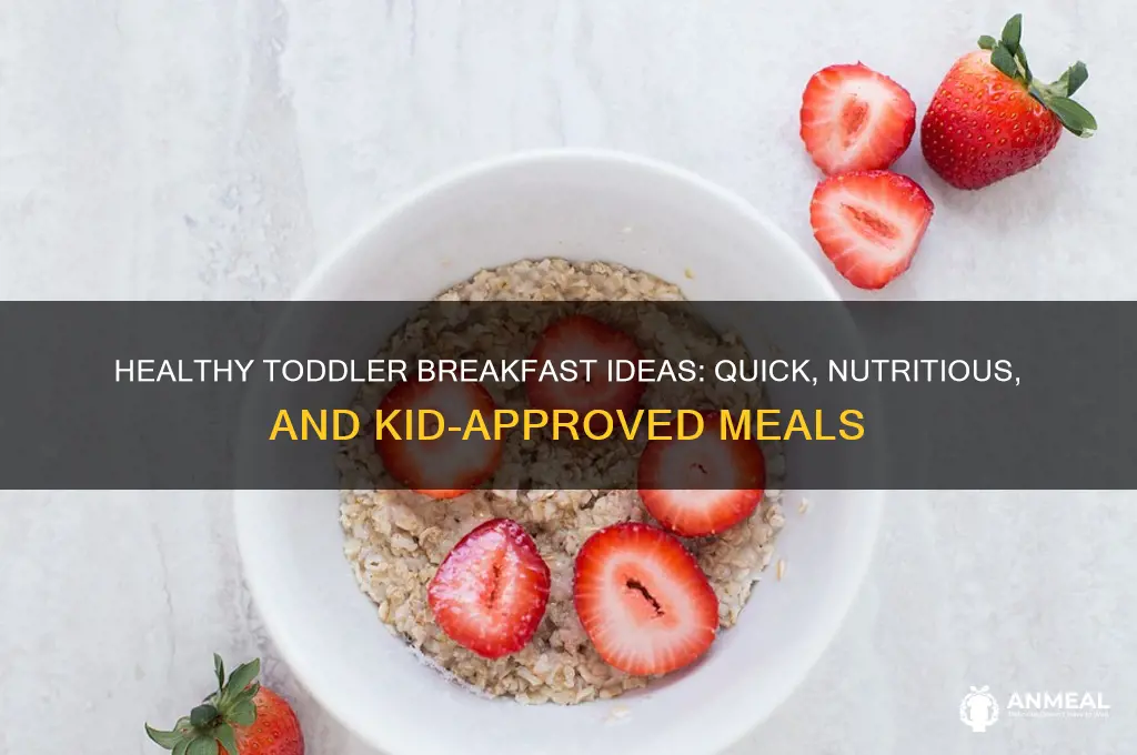 what do you give toddler for breakfast