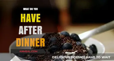 Delicious After-Dinner Treats: Exploring Post-Meal Indulgences and Relaxation Ideas