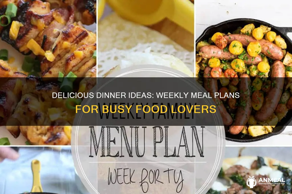 what do you have for dinner plan