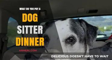 Dog Sitter Dinner Etiquette: What to Pay and When