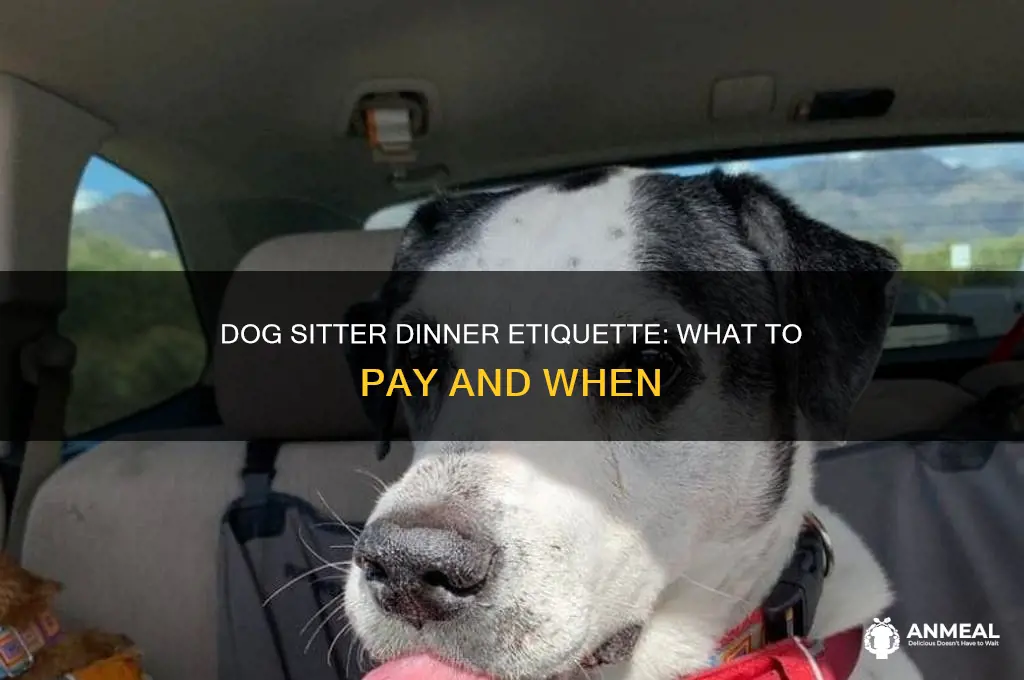 what do you pay a dog sitter dinner