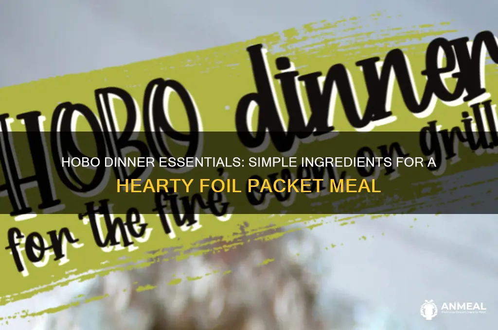 what do you put in a hobo dinner