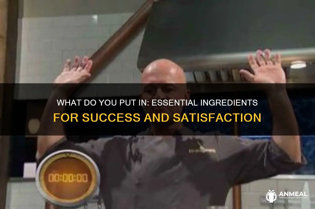 what do you put in