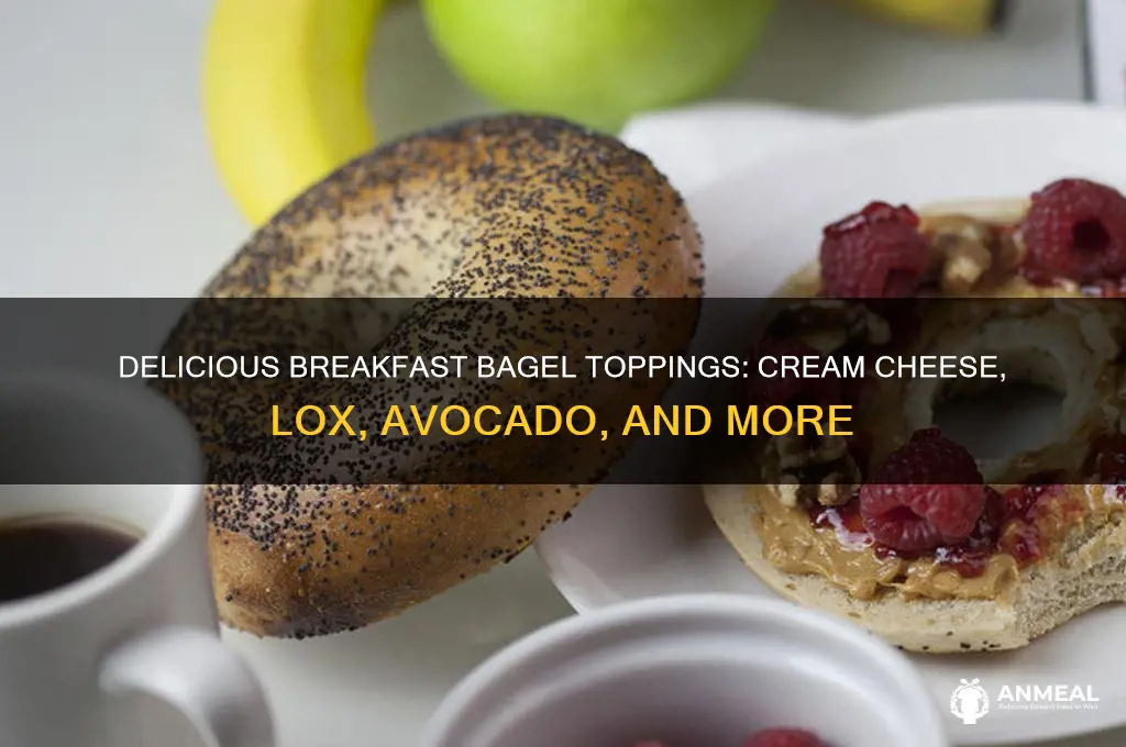 what do you put on a bagel for breakfast
