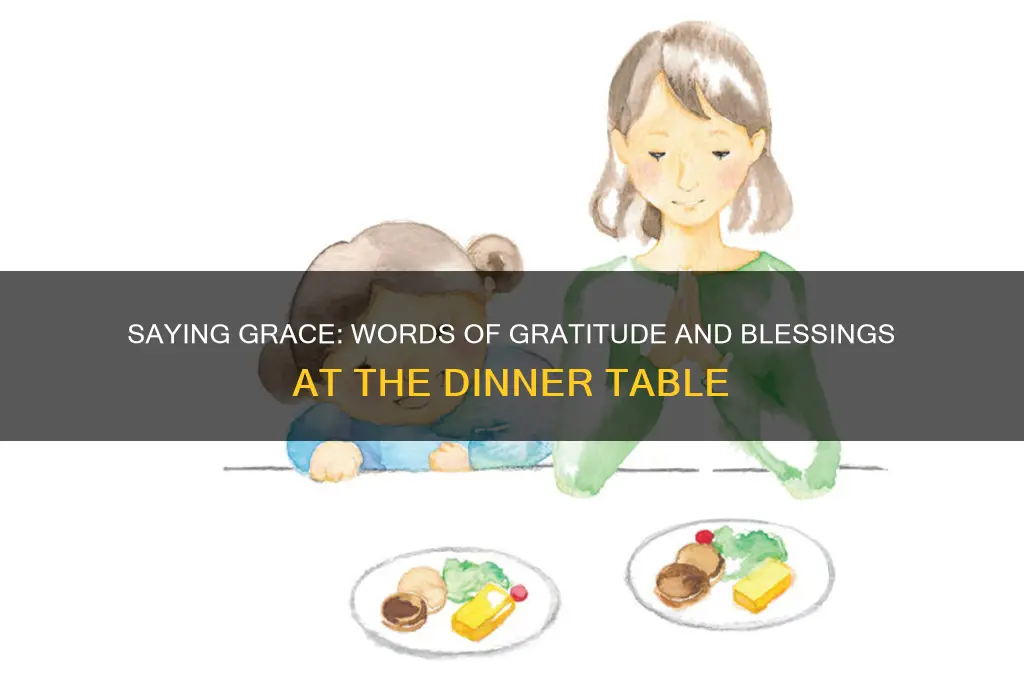 what do you say when you say grace at dinner