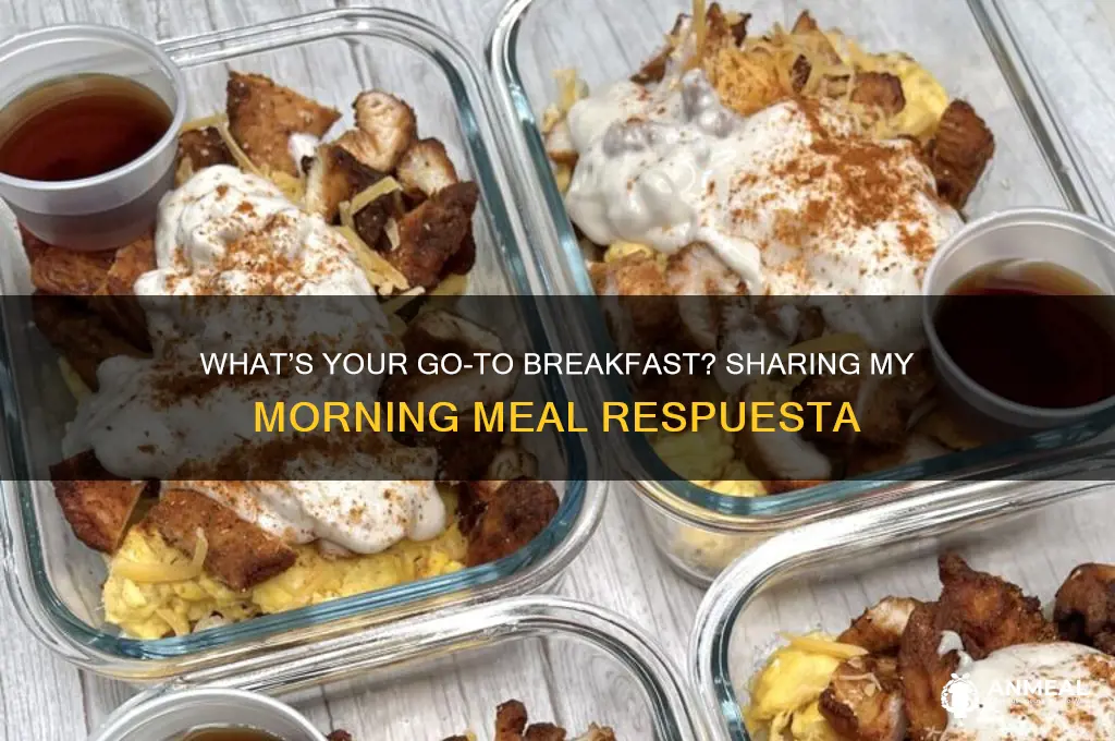 what do you usually have for breakfast respuesta