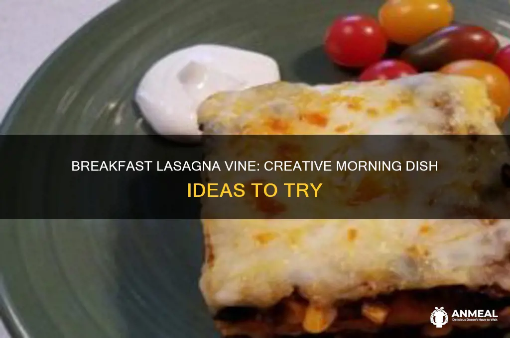 what do you want for breakfast lasagna vine