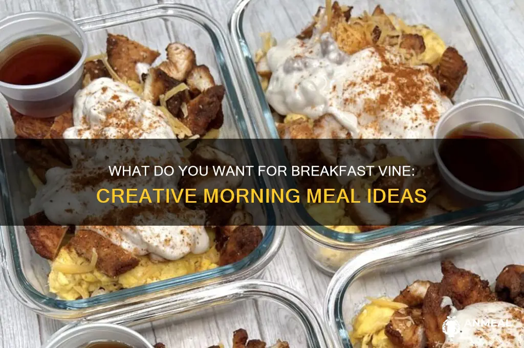 what do you want for breakfast vine