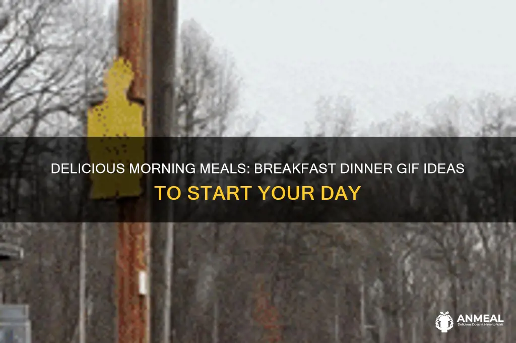 what do you want for dinner breakfast gif