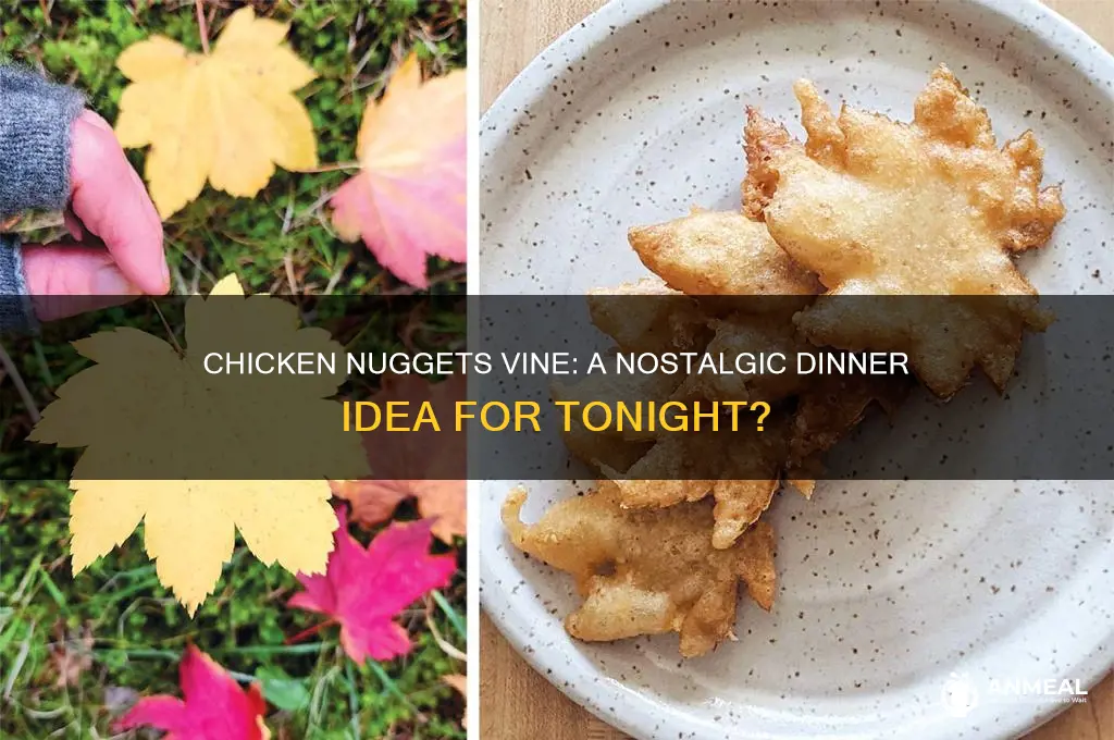 what do you want for dinner chicken nuggets vine
