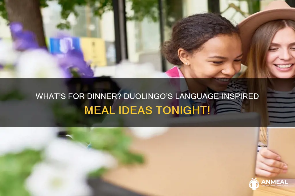 what do you want for dinner duolingo