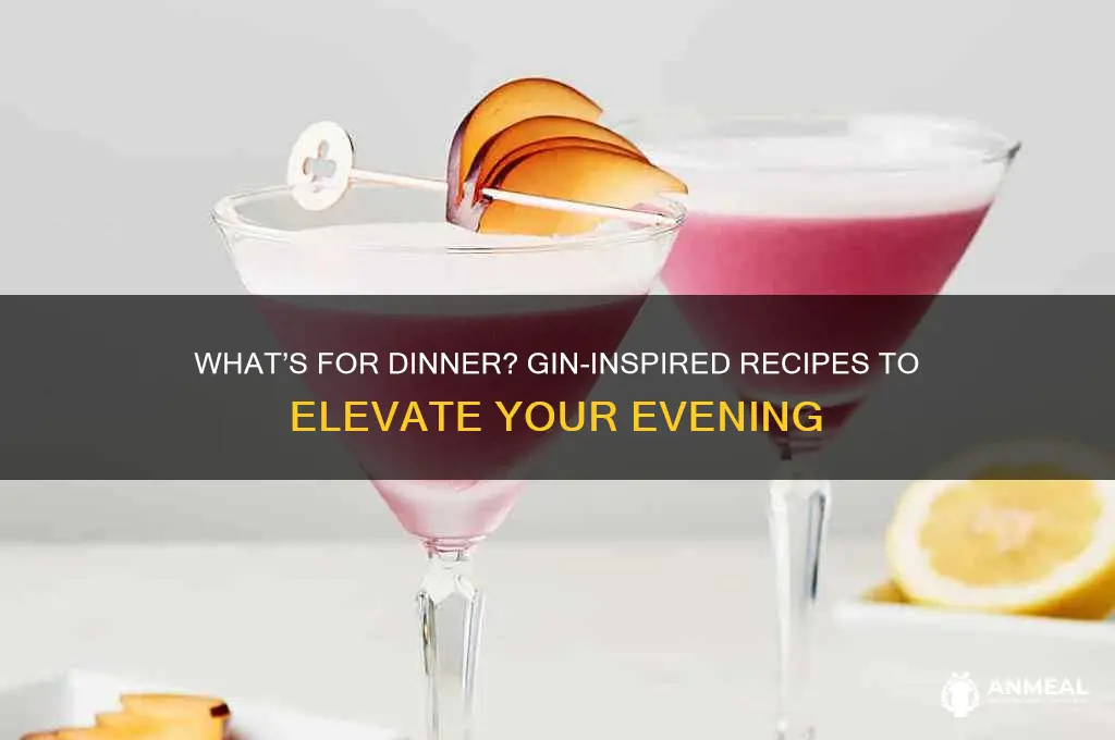what do you want for dinner gin