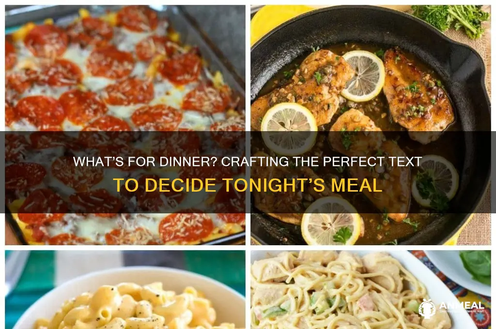 what do you want for dinner text
