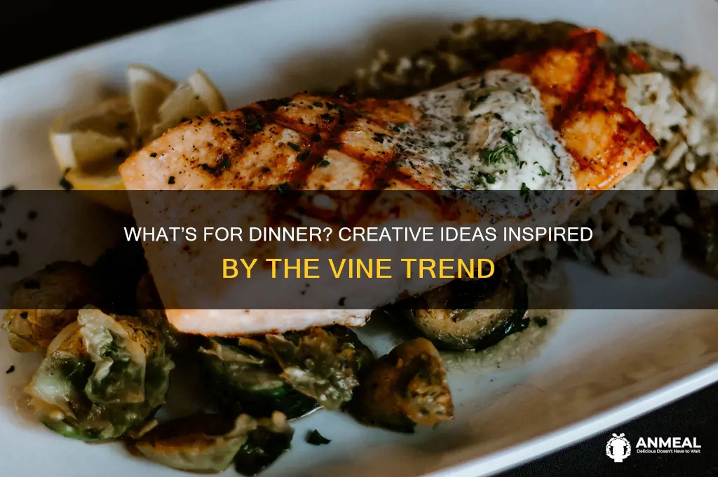 what do you want for dinner vine