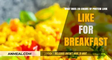Visual Guide: 20 Grams of Protein for a Balanced Breakfast