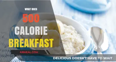 Fuel Your Day: 500-Calorie Breakfast Ideas for Energy and Health