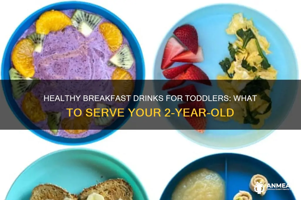 what does a 2 year old drink for breakfast