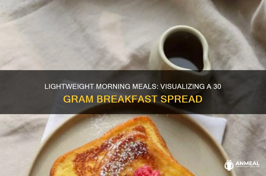 what does a 30 gram breakfast look like