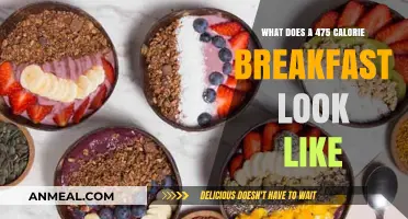 Delicious 475-Calorie Breakfast Ideas to Start Your Day Right