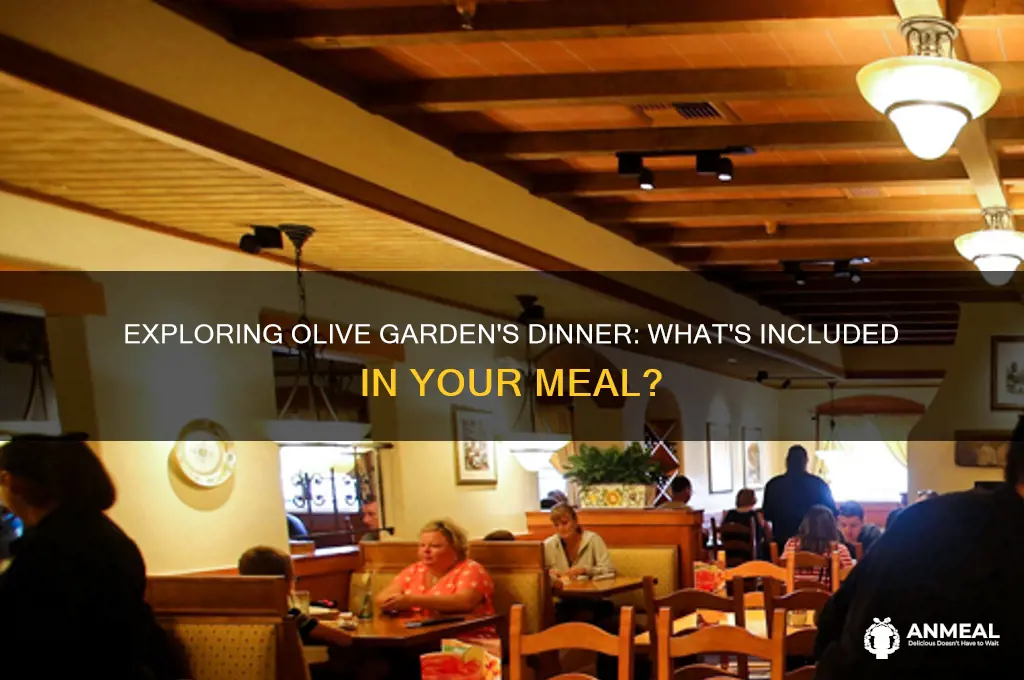 what does a dinner at olive garden come with