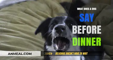 What Does a Dog Say Before Dinner? Decoding Pre-Meal Barks
