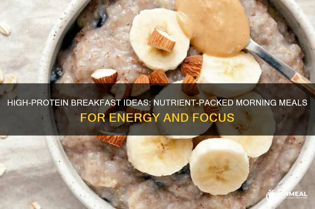 what does a high protein breakfast consist of