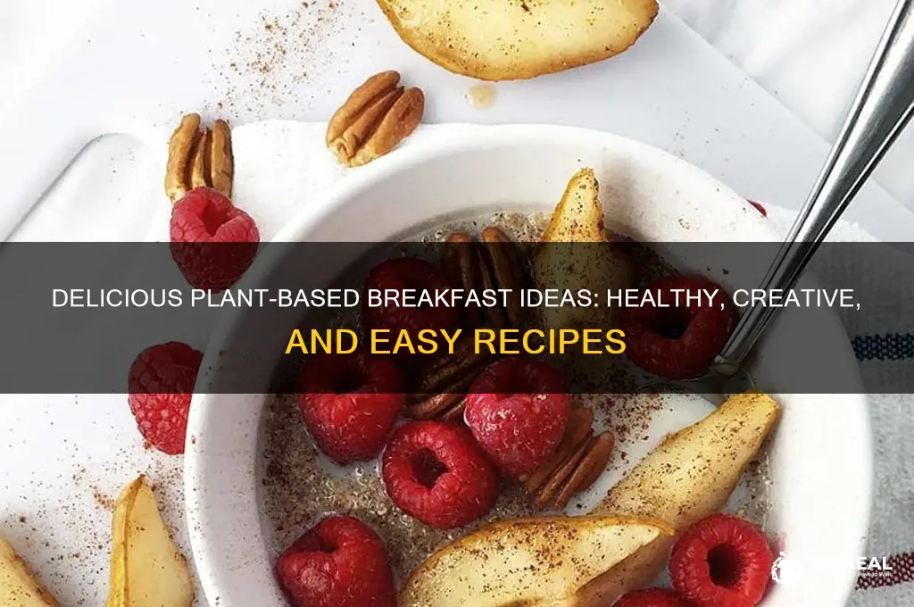 what does a plant based breakfast look like