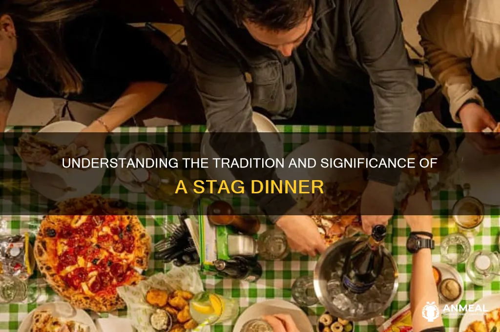 what does a stag dinner mean