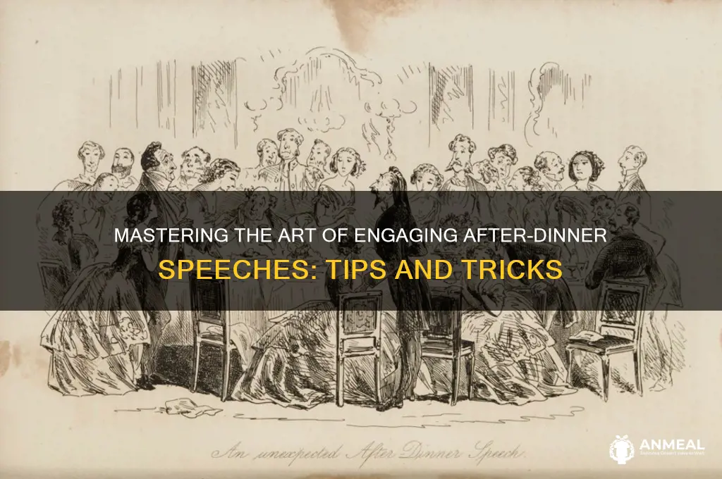 what does an after dinner speech