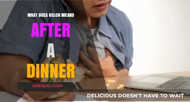 Understanding Post-Dinner Belching: Causes, Meaning, and When to Worry