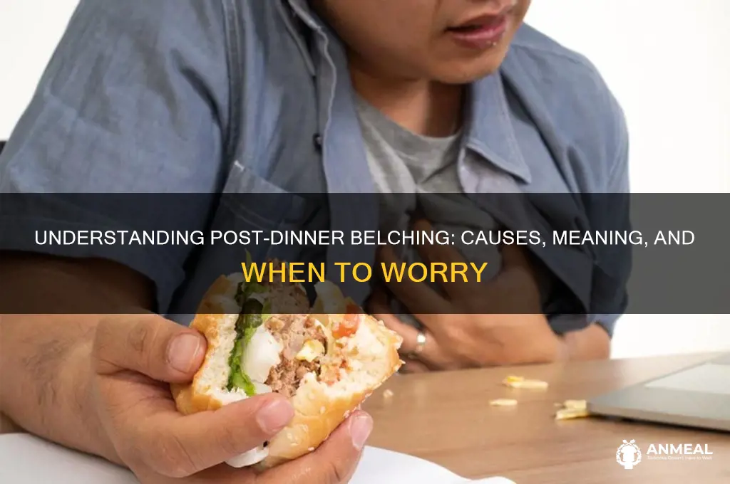 what does belch means after a dinner