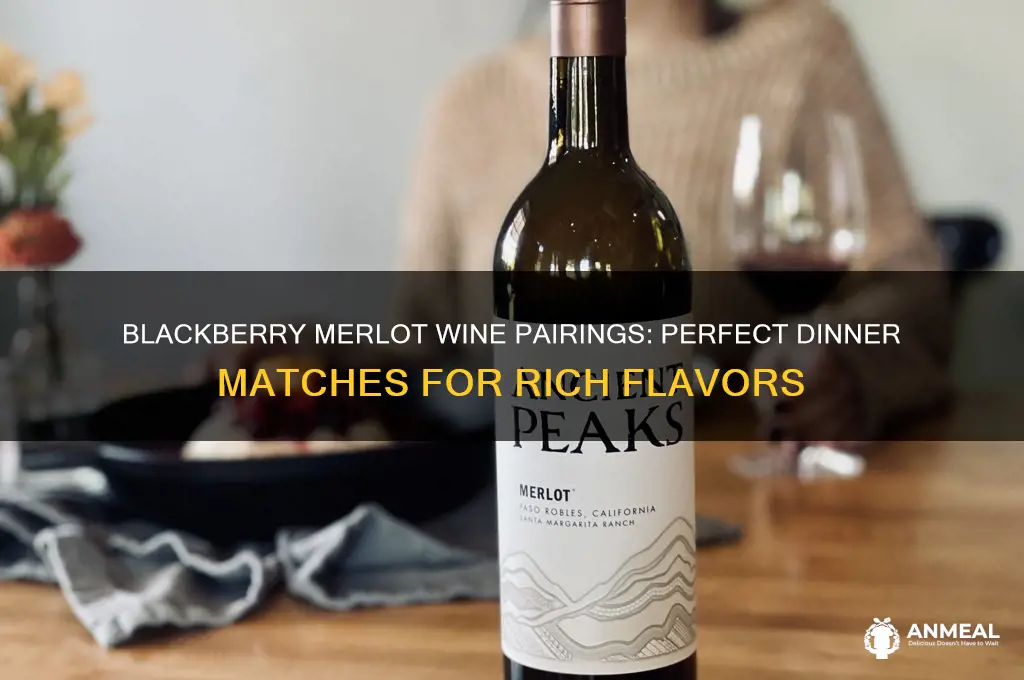 what does blackberry merlot wine go with for dinner