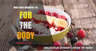 Fuel Your Day: Breakfast's Vital Role in Body Function and Energy