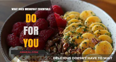 Boost Energy, Focus, and Health: Breakfast Essentials Benefits Explained