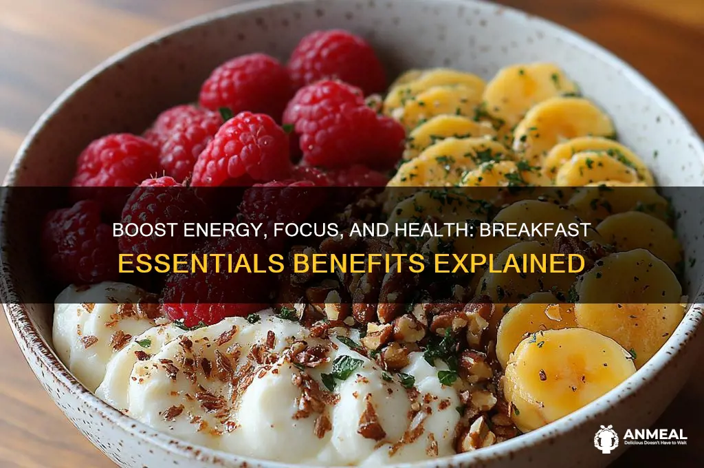 what does breakfast essentials do for you